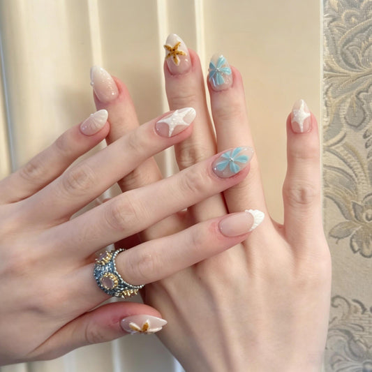 Ocean Star Shell