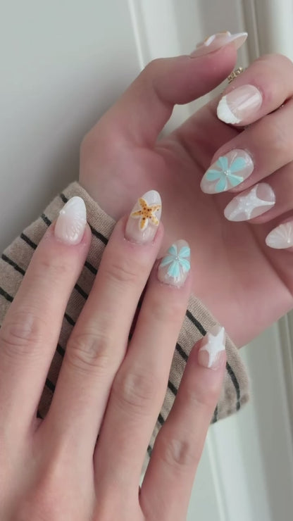 Ocean Star Shell